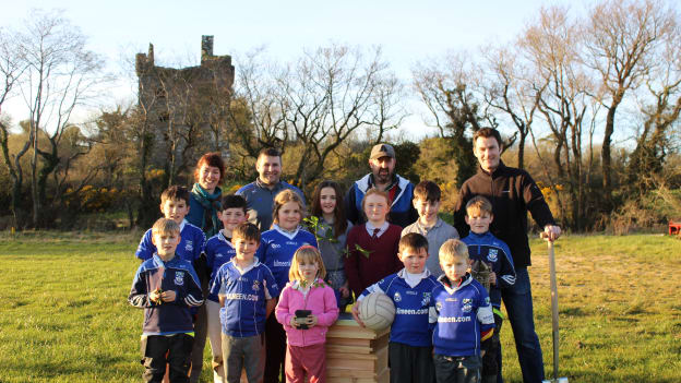 GAA Green Clubs Projects